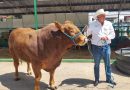 INCREÍBLE FIN DE SEMANASE VIVE EN TIERRA GANADERA