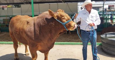 INCREÍBLE FIN DE SEMANASE VIVE EN TIERRA GANADERA