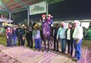 SAN LUIS POTOSÍ LOGRA DOS TRIUNFOS EN CAMPEONATO NACIONAL DE CABALLOS BAILADORES