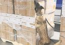 ASEGURAN DOS MILLONES DE CIGARROS PIRATAS EN EL AICM