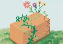 BENEFICIOS AMBIENTALES DE LA BIOCONSTRUCCIÓN