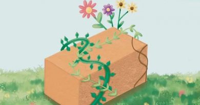 BENEFICIOS AMBIENTALES DE LA BIOCONSTRUCCIÓN