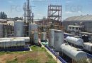 DESMANTELAN CUATRO CENTROS DE HUACHICOL EN TRES ESTADOS