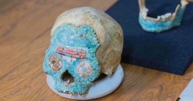 EL CRÁNEO DE TURQUESA QUE CRUZÓ EL OCÉANO Y VOLVIÓ