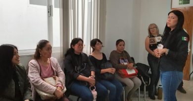 UNIFICAN CRITERIOS DE INSPECCIÓN PARA UNA FENAPO ORDENADA
