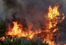 INCENDIOS FORESTALES EN CANADÁ AUMENTAN Y EVACUAN A 5 MIL PERSONAS