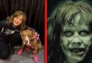 INVESTIGAN A ACTRIZ DE EL EXORCISTA POR IRREGULARIDADES EN REFUGIO DE MÁS DE 100 PERROS