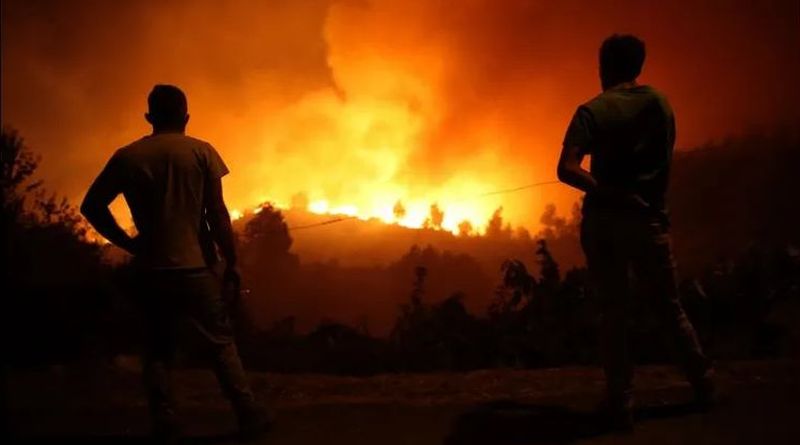 OLA DE INCENDIOS FORESTALES AZOTA AL REINO UNIDO EN MEDIO DE INTOLERABLE OLA DE CALOR