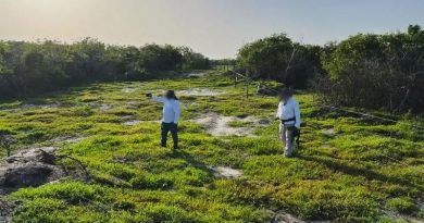 PROFEPA CLAUSURA OBRAS POR DEVASTACIÓN DE MANGLARES EN CELESTÚN, YUCATÁN