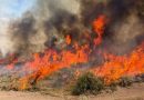 SE ESTRELLA HELICÓPTERO QUE COMBATÍA INCENDIO FORESTAL EN UTAH