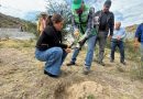 SEGAM REFORESTA CON 600 EJEMPLARES Y ENTREGA 200 ÁRBOLES FRUTALES