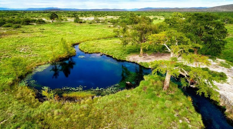 GOBIERNO DEL ESTADO AVANZA EN LA PROTECCIÓN DE LOS PEROLES EN RIOVERDE