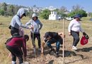 GOBIERNO DEL ESTADO REFORESTA CON ESPECIES FRUTALES Y MADERABLES