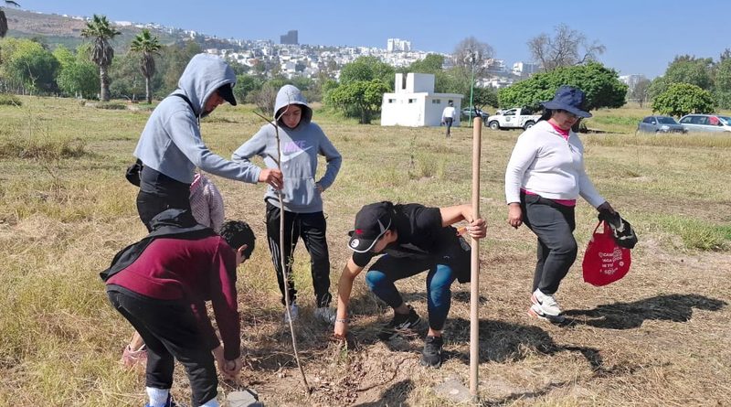 GOBIERNO DEL ESTADO REFORESTA CON ESPECIES FRUTALES Y MADERABLES
