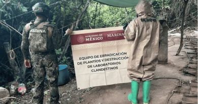 DESMANTELAN EN SINALOA EL SEGUNDO LABORATORIO CLANDESTINO DE MAYOR MAGNITUD DEL SEXENIO DE SHEINBAUM