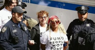 DETIENEN EN NUEVA YORK A SUSAN SARANDON