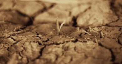 EL NIÑO CAUSA SEQUÍA Y CRISIS AGRÍCOLA EN CENTROAMÉRICA
