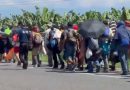 MÁS DE 600 MIGRANTES DESAFÍAN LA LLUVIA Y RETOMAN CAMINO HACIA EU DESDE TAPACHULA