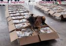PERRO DETECTA CARGAMENTO DE CAFÉ CON COCAÍNA EN EL AICM