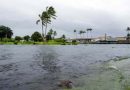 TORMENTA TROPICAL MARIE SE FORTALECE; ESTOS ESTADOS TENDRÁN LLUVIAS Y OLEAJE ELEVADO