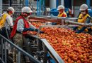 SLP SE CONSOLIDA EN EL NOVENO LUGAR NACIONAL EN EXPORTACIONES IMPULSADO POR EL DINAMISMO INDUSTRIAL