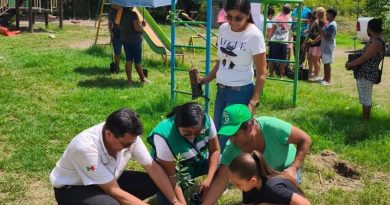 SAN LUIS POTOSÍ PRODUCE MÁS DE 100 MIL ÁRBOLES PARA REFORESTACIÓN Y PROYECTOS PRODUCTIVOS