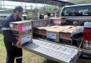 GOBIERNO DEL ESTADO MANTIENE VIGILANCIA PERMANENTE CONTRA LANGOSTA CENTROAMERICANA