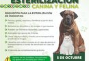 MEGAJORNADA GRATUITA OFRECERÁ 200 ESTERILIZACIONES Y VACUNACIÓN ANTIRRÁBICA