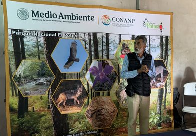 TRES NIVELES DE GOBIERNO COORDINAN ACCIONES PARA CONSERVAR EL PARQUE NACIONAL EL POTOSÍ