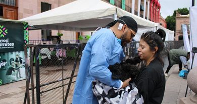 🐾 Hoy realizamos más de 200 esterilizaciones gratuitas en una sola jornada.