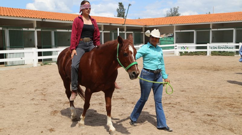 DIF ESTATAL REÚNE A ESPECIALISTAS DEL PAÍS EN CERTIFICACIÓN DE EQUINOTERAPIA