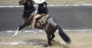 ARENA POTOSÍ RECIBE ESTE LUNES NUEVAS JORNADAS DEL CAMPEONATO NACIONAL CHARRO
