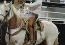 SAN LUIS POTOSÍ DESTACA EN EL CAMPEONATO NACIONAL CHARRO