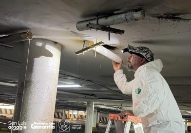 Gobierno de la Capital refuerza mantenimiento y limpieza en el Mercado República