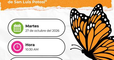 SEGAM CAPACITARÁ SOBRE EL MONITOREO Y LA CONSERVACIÓN DE LA MARIPOSA MONARCA