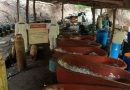 DESMANTELAN LABORATORIO ILEGAL Y DECOMISAN 1.3 TONELADAS DE METANFETAMINA EN DURANGO