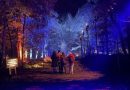 HARRY POTTER LLEGA A MÉXICO CON ‘LA EXPERIENCIA DEL BOSQUE PROHIBIDO’