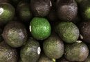 SEMARNAT IMPEDIRÁ EXPORTACIÓN DE AGUACATE CULTIVADO EN HUERTAS DEFORESTADAS