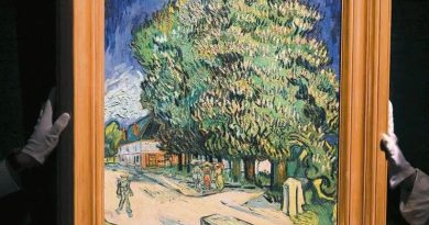 VAN GOGH SALE DE LAS SOMBRAS